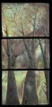 Untended Land - 14x14 each square